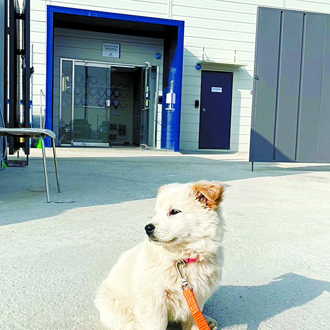 힐스테이트 고덕 스카이시티 현장을 지키는 늠름하고 귀여운 강아지 보안관
